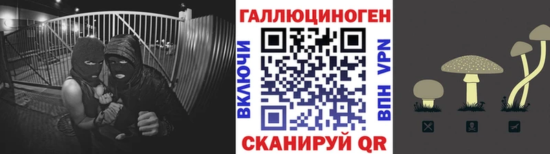 Псилоцибиновые грибы Cubensis  Дальнереченск 