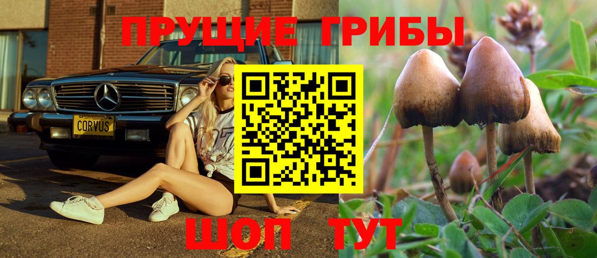 Псилоцибиновые грибы GOLDEN TEACHER  Вход с VPN  купить   Дальнереченск 